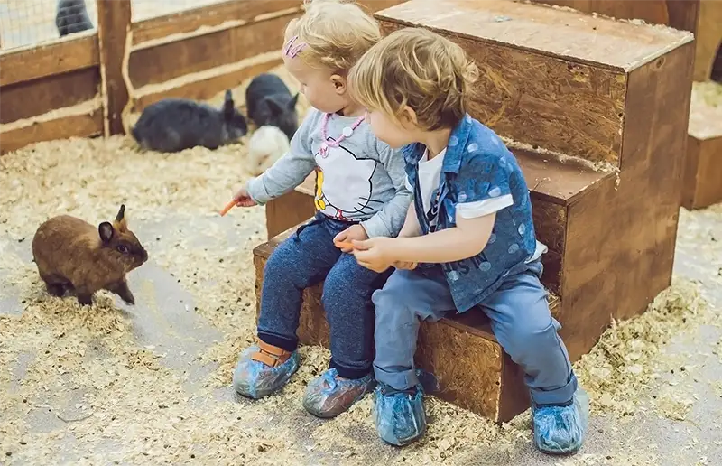 Start Opgroeicafé bij de Dorpsboerderij