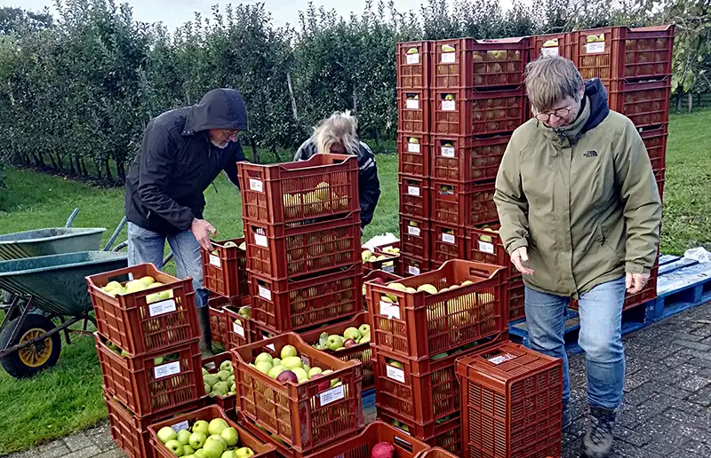 Extra appelpluk voor de voedselbank