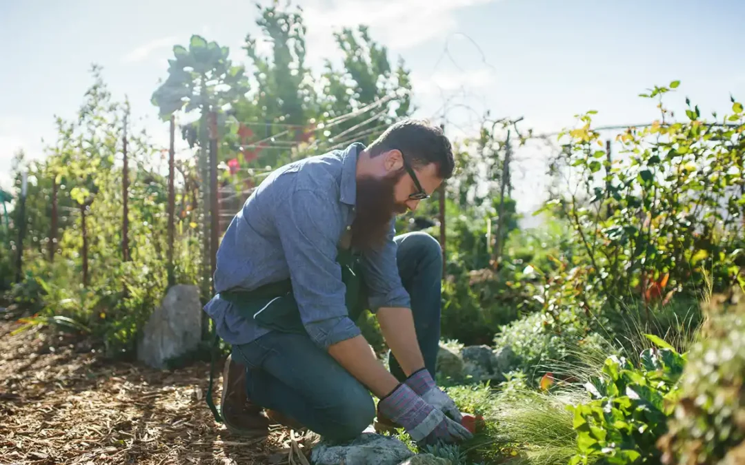 Vacature tuinmedewerker in prachtig natuurgebied