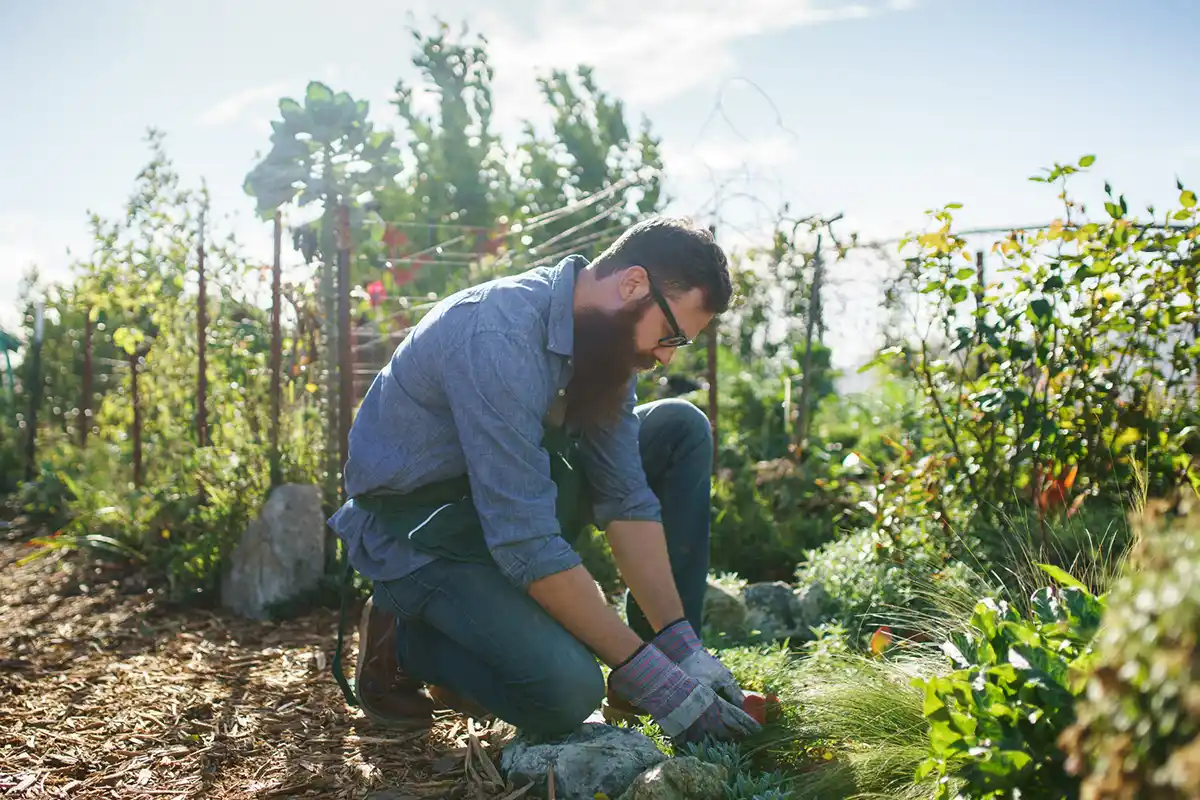 Vacature tuinmedewerker in prachtig natuurgebied